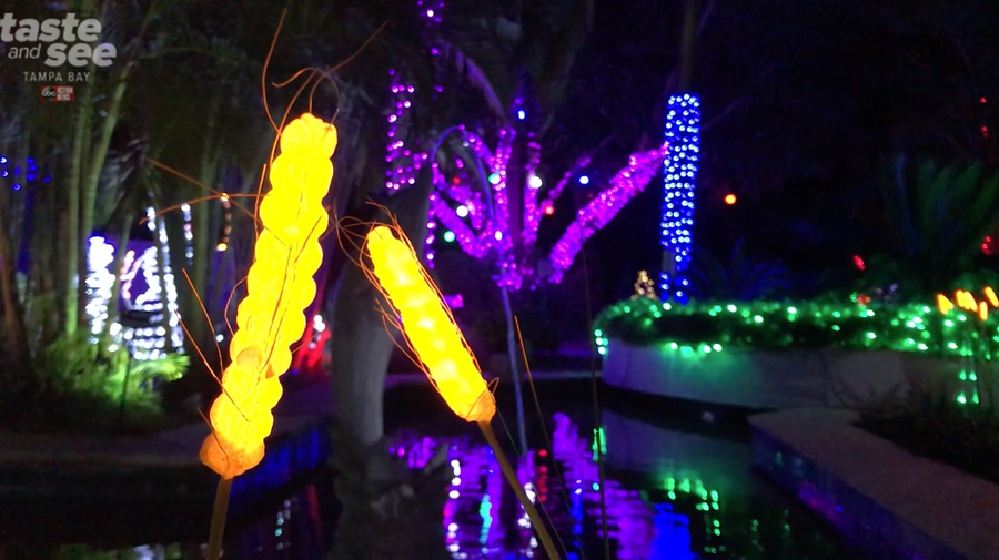 PHOTOS Christmas lights at the Florida Botanical Gardens in Largo